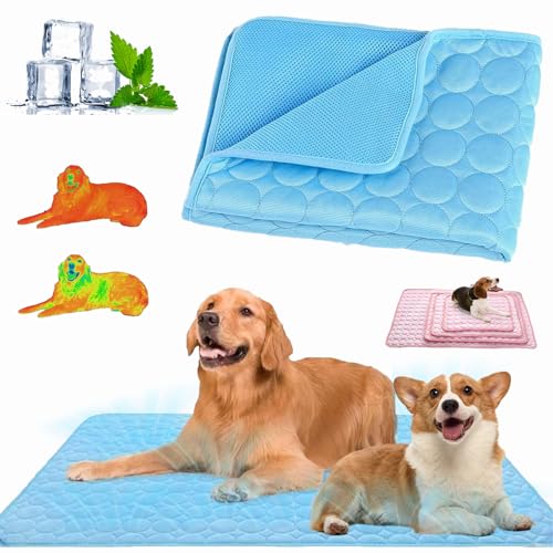 Nordseepfote Kühlmatte für Den Sommer,Kühlmatte Katze Hund,Faltbare Kühldecke Hund,Selbstkühlende Hundematte,Langlebige Kratzfeste,Waschbar,für Zuhause,Auto Oder Unterwegs (Blau, L(70*55cm)) von Qosneoun
