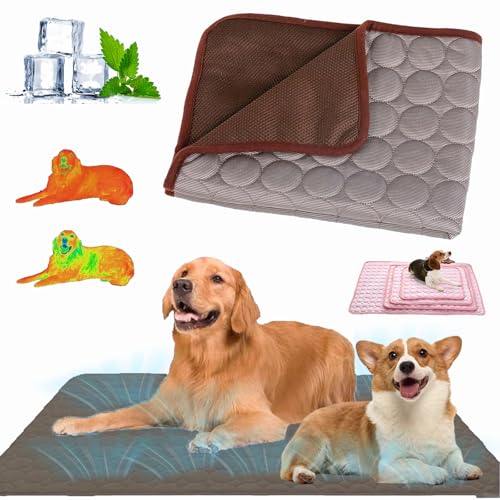 Nordseepfote Kühlmatte für Den Sommer,Kühlmatte Katze Hund,Faltbare Kühldecke Hund,Selbstkühlende Hundematte,Langlebige Kratzfeste,Waschbar,für Zuhause,Auto Oder Unterwegs (Braun, L(70*55cm)) von Qosneoun