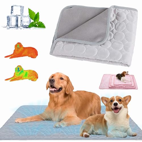 Nordseepfote Kühlmatte für Den Sommer,Kühlmatte Katze Hund,Faltbare Kühldecke Hund,Selbstkühlende Hundematte,Langlebige Kratzfeste,Waschbar,für Zuhause,Auto Oder Unterwegs (Grau, XXL(150*100cm)) von Qosneoun