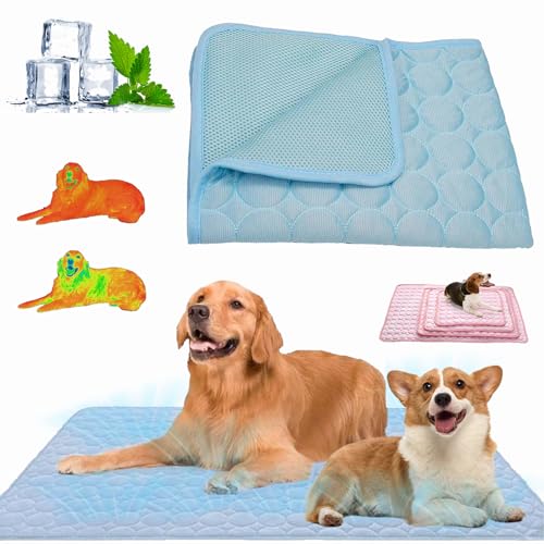 Nordseepfote Kühlmatte für Den Sommer,Kühlmatte Katze Hund,Faltbare Kühldecke Hund,Selbstkühlende Hundematte,Langlebige Kratzfeste,Waschbar,für Zuhause,Auto Oder Unterwegs (Hellblau, XXL(150*100cm)) von Qosneoun
