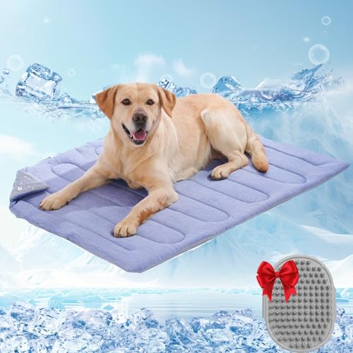 Qosneoun Dr.Pfoten Pfotenchill Die Innovative Kühlmattefür Hunde, Pet Cooling Mat, Kühldecke für Tiere und Katzen im Innen, Maschinenwaschbar, Selbstkühlende Pads Sicher (Blau,M) von Qosneoun