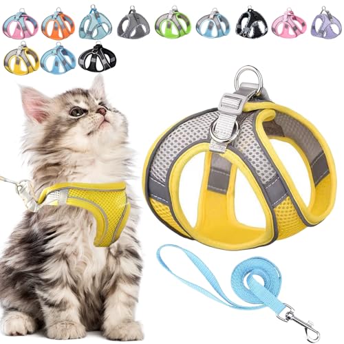 Stimulicat Katzengeschirr, Stimuli Katzengeschirr und Leine, verstellbar, reflektierend, mit Leine, Katzenhalsband, weiche Netzweste, Design für Outdoor-Katzen (D, M, 5,9-7,7 kg) von Qosneoun