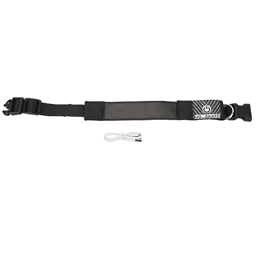 Qotolithfarbene LED -Kragen Bluetooth -Verbindung wiederaufladbare Hundehalskette Leuchten zum Camping Night Walking Qotolithfarbene LED -Kragen Bluetooth -Verbindung wiederaufladbare Hundehalskette Leuchten zum Camping Night Walking von Qotolite