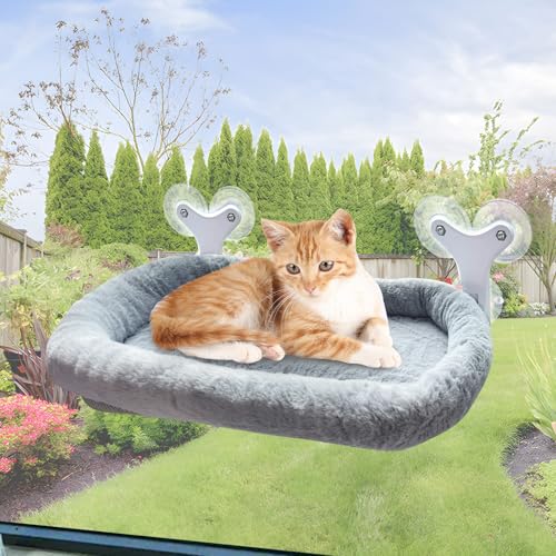 Katzen Fensterliege, Plüsch Katzenbett Fenster, Sonnenbaden und Klettern Fensterbrett Katze Haustierbett Zusammenklappbare, Katzenbett Fensterbank mit 6 Starken Saugnäpfen Hält 15kg (Grau, 60CMx30CM) von Qottmez