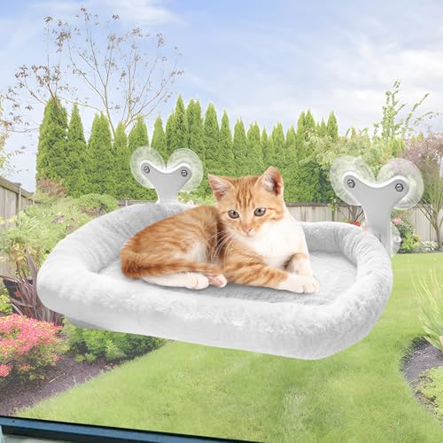 Katzen Fensterliege, Plüsch Katzenbett Fenster, Sonnenbaden und Klettern Fensterbrett Katze Haustierbett Zusammenklappbare, Katzenbett Fensterbank mit 6 Starken Saugnäpfen Hält 15kg (Weiß, 60CMx30CM) von Qottmez