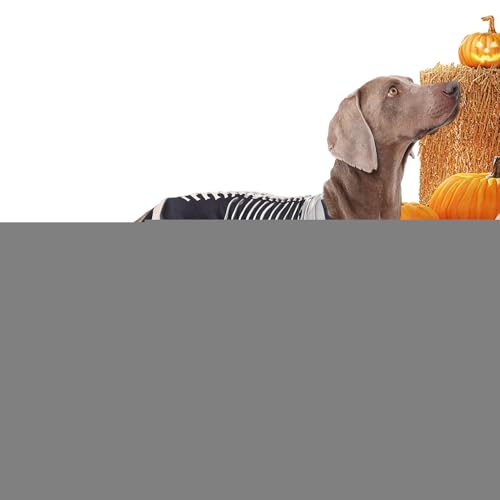 Qoukonao Hundekostüme | Hund Skelett Overall - Haustier Halloween Bodysuit Für Outdoor Freunde Cosplay Reisen Feste Fotos von Qoukonao