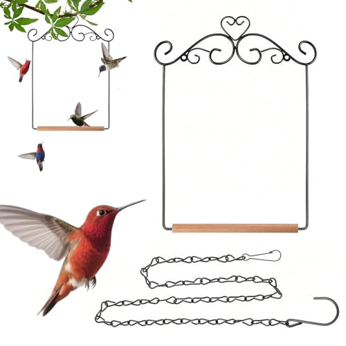 Qoukonao Kolibri-Schaukel | zum Aufhängen, Sitzstange – Spielplatz-Spielzeug-Schaukel-Ständer für Vögel, Nymphensittiche, Sittiche, Aras, , Innen- und Außenbereich, Terrasse, Garten Qoukonao Kolibri-Schaukel | zum Aufhängen, Sitzstange – Spielplatz-Spielzeug-Schaukel-Ständer für Vögel, Nymphensittiche, Sittiche, Aras, , Innen- und Außenbereich, Terrasse, Garten von Qoukonao