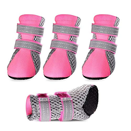 Qplcdg Hundeschuhe Pfotenschutz,Stiefel Anti Rutsch Haustier Schuhemit reflektierendem Streifen. (M, Pink) von Qplcdg