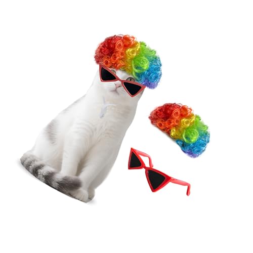 Bunte Haustier Haarteil Brille Für Hunde Katzen Urlaub Cosplay Kostüm Spaß Kopfbedeckung Haustier Haarstück Bunte Haustier Haarteil Brille Für Hunde Katzen Urlaub Cosplay Kostüm Spaß Kopfbedeckung Haustier Haarstück von Qsvbeeqj