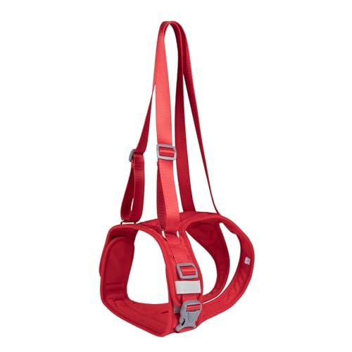 Qsvbeeqj Einstellbarer Hunde Liftgurt Haustier Walking Body Gurt Alle Rassen Reisen Behinderten Unterstützung Tragen Hilfshund Beinlift Qsvbeeqj Einstellbarer Hunde Liftgurt Haustier Walking Body Gurt Alle Rassen Reisen Behinderten Unterstützung Tragen Hilfshund Beinlift von Qsvbeeqj