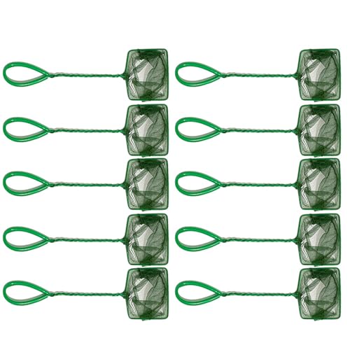 Qsvbeeqj 10pcs Professionelles Fischschaufelnetz Für Aquarien Multifunktionale Verwendung Fischereinetzschaufelnetz Mit Bequemen Griffaquarienzubehör Qsvbeeqj 10pcs Professionelles Fischschaufelnetz Für Aquarien Multifunktionale Verwendung Fischereinetzschaufelnetz Mit Bequemen Griffaquarienzubehör von Qsvbeeqj