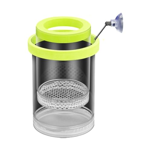 Schwimmende Fischzuchtbox mit Netz-Design, sichere Fisch-Lebensraum-Isolationsbehälter für Frittiergarnelen, einfache Einrichtung, kompakt, Betta, Guppy, Clownfische, Zuchtbox Schwimmende Fischzuchtbox mit Netz-Design, sichere Fisch-Lebensraum-Isolationsbehälter für Frittiergarnelen, einfache Einrichtung, kompakt, Betta, Guppy, Clownfische, Zuchtbox von Qsvbeeqj