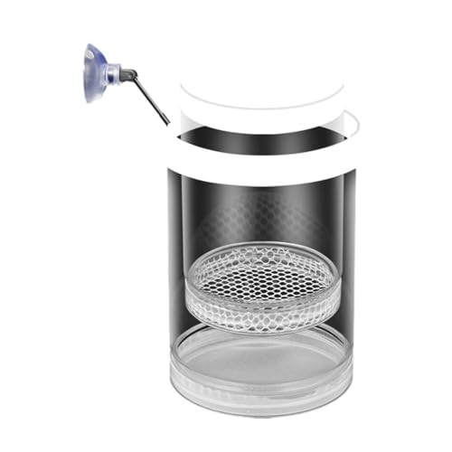 Schwimmende Fischzuchtbox mit Netz-Design, sichere Fisch-Lebensraum-Isolationsbehälter für Frittiergarnelen, einfache Einrichtung, kompakt, Betta, Guppy, Clownfische, Zuchtbox Schwimmende Fischzuchtbox mit Netz-Design, sichere Fisch-Lebensraum-Isolationsbehälter für Frittiergarnelen, einfache Einrichtung, kompakt, Betta, Guppy, Clownfische, Zuchtbox von Qsvbeeqj