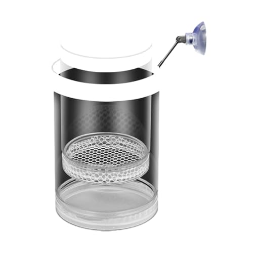 Schwimmende Fischzuchtbox mit Netz-Design, sichere Fisch-Lebensraum-Isolationsbehälter für Frittiergarnelen, einfache Einrichtung, kompakt, Betta, Guppy, Clownfische, Zuchtbox Schwimmende Fischzuchtbox mit Netz-Design, sichere Fisch-Lebensraum-Isolationsbehälter für Frittiergarnelen, einfache Einrichtung, kompakt, Betta, Guppy, Clownfische, Zuchtbox von Qsvbeeqj