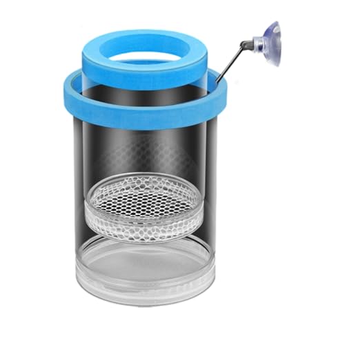 Schwimmende Fischzuchtbox mit Netz-Design, sichere Fisch-Lebensraum-Isolationsbehälter für Frittiergarnelen, einfache Einrichtung, kompakt, Betta, Guppy, Clownfische, Zuchtbox Schwimmende Fischzuchtbox mit Netz-Design, sichere Fisch-Lebensraum-Isolationsbehälter für Frittiergarnelen, einfache Einrichtung, kompakt, Betta, Guppy, Clownfische, Zuchtbox von Qsvbeeqj