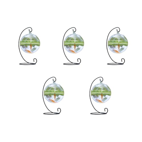 Transparente Kugelförmige Glas Handgefertigte Fische Für Runde Form Hängende Aquariumschale Klare Pflanzenterrarium GI Hängende Schüssel von Qsvbeeqj