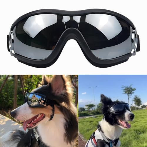 1 x Hundesonnenbrille, geeignet für große und mittelgroße Hunderassen, UV-/wind-/staub-/beschlagbeständige Haustierbrille, mit verstellbaren Schultergurten von QuZCarious