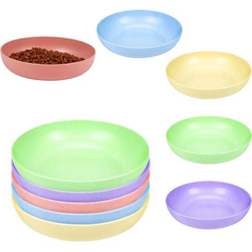 Whisker Futternapf für Katzen, 14 cm, flacher Futternapf, breiter Futternapf für Katzen, kleine flache Schale für Kätzchen, 10 Stück Whisker Futternapf für Katzen, 14 cm, flacher Futternapf, breiter Futternapf für Katzen, kleine flache Schale für Kätzchen, 10 Stück von QuZCarious