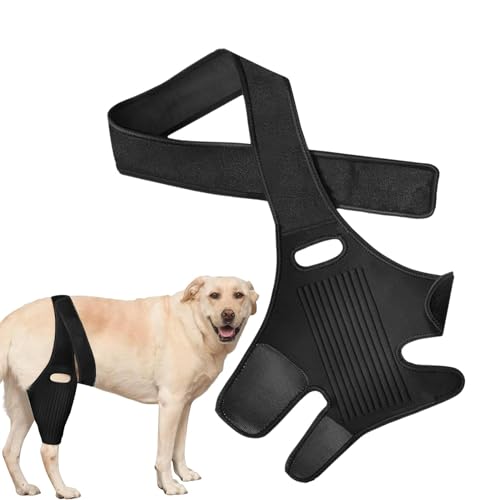 Quaeetyu Hundebeinstütze, mit 10 Stützstäbchen, Rücken- und Beinbandage für Hunde, bequeme Erholungsperiode, Beinschutz, Hüftpflege-Bandage von Quaeetyu