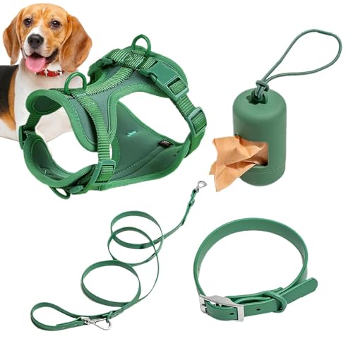 Quaeetyu Hundeleinen-Set, Haustiergeschirr, Halsband und Leine, multifunktionales Leinen-Set für mittelgroße Hunde, einfaches Spazierengehen, Alltag, verstellbares Hundehalsband, modisch von Quaeetyu
