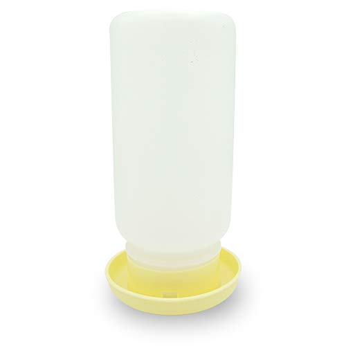 Quailzz Kükentränke für Wachteln - pina Colada – 1 Liter – Extra schmaler Rand gegen Ertrinken – Buntes Geflügel-Zubehör – Einfach zu reinigen & dicht verschließbar von Quailzz