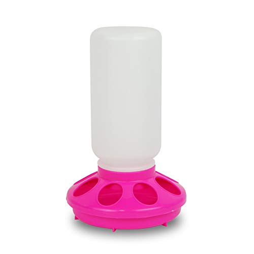 Quailzz Lochfutterautomat 1kg - Raspberry - Wachteln Hühner Geflügel Enten Gänse Fasane Quailzz Lochfutterautomat 1kg - Raspberry - Wachteln Hühner Geflügel Enten Gänse Fasane von Quailzz