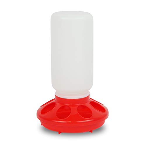 Quailzz Lochfutterautomat 1kg - red - Wachteln Hühner Geflügel Enten Gänse Fasane Quailzz Lochfutterautomat 1kg - red - Wachteln Hühner Geflügel Enten Gänse Fasane von Quailzz