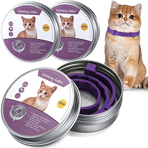 Qualirey Katzenhalsband, verstellbar, beruhigend, reduziert Angstzustände, Katzenhalsbänder für Haustiere, beruhigendes Halsband, beruhigendes Kätzchen, mittelgroße und große Katzen, 38.1 cm (Lila) Qualirey Katzenhalsband, verstellbar, beruhigend, reduziert Angstzustände, Katzenhalsbänder für Haustiere, beruhigendes Halsband, beruhigendes Kätzchen, mittelgroße und große Katzen, 38.1 cm (Lila) von Qualirey