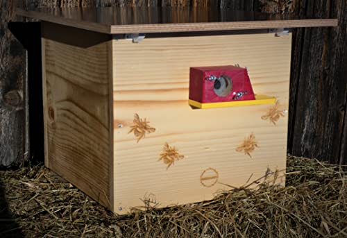 Premium Hummelkasten mit Wachsmottensperre, 2X Sichtfenster und Nistmaterial Wetterfest Bienenhaus Hummelhaus Nistkasten Hummelvilla Bienen Insektenhaus (Hummelhotel 3X von Hand imprägniert) von Qualität aus Niederbayern ARBRIKADREX