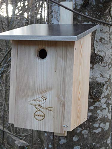 Premium Natur Lärchenholz Nistkasten unbehandelt nach Nabu Blaumeise 28mm Einflugloch, massives Vogelhaus Nisthilfe wetterfest 18mm stark verschraubt, mit Befestigungsmaterial Premium Natur Lärchenholz Nistkasten unbehandelt nach Nabu Blaumeise 28mm Einflugloch, massives Vogelhaus Nisthilfe wetterfest 18mm stark verschraubt, mit Befestigungsmaterial von Qualität aus Niederbayern ARBRIKADREX