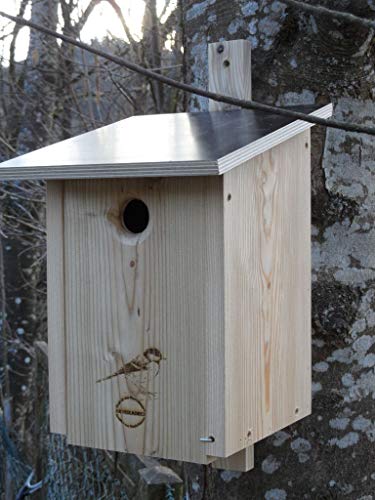 Premium Natur Lärchenholz Nistkasten unbehandelt nach Nabu Kohlmeise 32mm Einflugloch, massives Vogelhaus Nisthilfe wetterfest 18mm stark verschraubt, mit Befestigungsmaterial Premium Natur Lärchenholz Nistkasten unbehandelt nach Nabu Kohlmeise 32mm Einflugloch, massives Vogelhaus Nisthilfe wetterfest 18mm stark verschraubt, mit Befestigungsmaterial von Qualität aus Niederbayern ARBRIKADREX