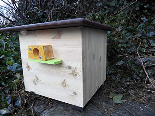 XXXL Luxus Hummelkasten mit Wachsmottensperre, 2X Sichtfenster und Nistmaterial Imprägniert Wetterfest Bienenhaus Hummelhaus Nistkasten Hummelvilla Bienen Insektenhaus von Qualität aus Niederbayern ARBRIKADREX