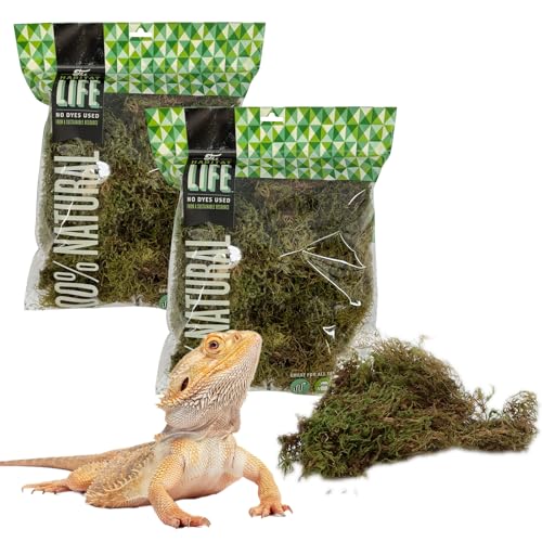 Quality Growers The Habitat Life - Natürliches Dekomoos - für Reptilien, Amphibien & Wirbellose Terrarien - Feuchtigkeitskontrolle - Natürliches Aussehen & Haptik - Weiche Oberfläche - Farbstofffrei Quality Growers The Habitat Life - Natürliches Dekomoos - für Reptilien, Amphibien & Wirbellose Terrarien - Feuchtigkeitskontrolle - Natürliches Aussehen & Haptik - Weiche Oberfläche - Farbstofffrei von Quality Growers