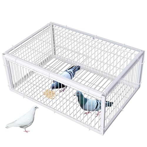 Quaocens Taubenfallen mit 4 Kanälen, Einwegeingang, Taubenkäfig mit Anti-Fluchtschlitz, tragbar, einfach zu montieren, Vogelkäfig für Dächer, Terrassen, Gärten, Balkon, Bauernhöfe, Lagerhäuser Quaocens Taubenfallen mit 4 Kanälen, Einwegeingang, Taubenkäfig mit Anti-Fluchtschlitz, tragbar, einfach zu montieren, Vogelkäfig für Dächer, Terrassen, Gärten, Balkon, Bauernhöfe, Lagerhäuser von Quaocens