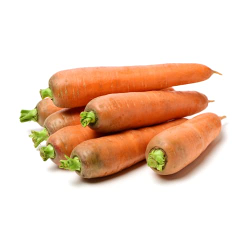 Frische Futtermöhren | Ideal als Futter für Pferde oder Kaninchen (19 KG) von Quast Meerrettich