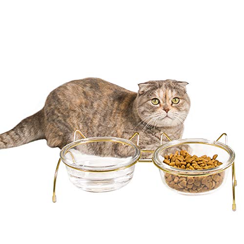 Qucey Katzenfutter und Wassernäpfe Set, erhöhte Katzennäpfe für Futter und Wasser, erhöhte Haustierglasschalen mit Ständer, 17 oz Katzen und Hundenapf, Anti-Erbrechen, spülmaschinenfest von Qucey