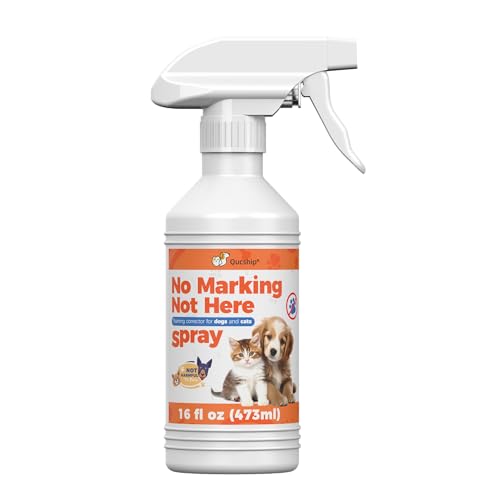 Qucship 473 ml Halten Sie Ihr Zuhause organisiert mit Not Here Hundespray Qucship 473 ml Halten Sie Ihr Zuhause organisiert mit Not Here Hundespray von Qucship