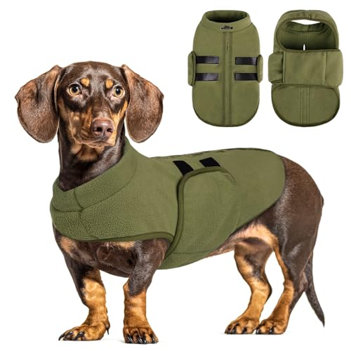 Queenmore Fleece Pullover Hund Hundemantel Winter, Hundepullover Fleece Kleine Hunde Für Dackel, Chihuahua, Bulldog, Yorkshire, Olivgrün, XS Queenmore Fleece Pullover Hund Hundemantel Winter, Hundepullover Fleece Kleine Hunde Für Dackel, Chihuahua, Bulldog, Yorkshire, Olivgrün, XS von Queenmore