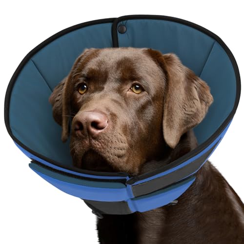 Queenmore Halskrause Hund, Weich Schutzhalsband, Genesungshalsband nach Operationen,Verstellbarer elisabethanischer Schutzkragen, Leckschutz gegen Belecken und Beißen, für Hunde & Katzen (L, Blau) Queenmore Halskrause Hund, Weich Schutzhalsband, Genesungshalsband nach Operationen,Verstellbarer elisabethanischer Schutzkragen, Leckschutz gegen Belecken und Beißen, für Hunde & Katzen (L, Blau) von Queenmore