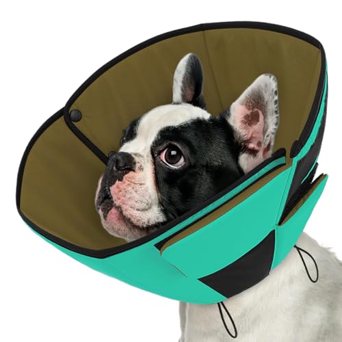 Queenmore Halskrause Hund, Weich Schutzhalsband, Genesungshalsband nach Operationen,Verstellbarer elisabethanischer Schutzkragen, Leckschutz gegen Belecken und Beißen, für Hunde & Katzen (M, Grün) Queenmore Halskrause Hund, Weich Schutzhalsband, Genesungshalsband nach Operationen,Verstellbarer elisabethanischer Schutzkragen, Leckschutz gegen Belecken und Beißen, für Hunde & Katzen (M, Grün) von Queenmore