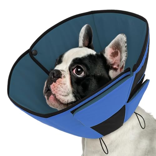 Queenmore Halskrause Hund, Weicher atmungsaktiver, Genesungshalsband nach Operationen,Verstellbarer elisabethanischer Schutzkragen, Leckschutz gegen Belecken und Beißen, für Hunde & Katzen (S, Blau) Queenmore Halskrause Hund, Weicher atmungsaktiver, Genesungshalsband nach Operationen,Verstellbarer elisabethanischer Schutzkragen, Leckschutz gegen Belecken und Beißen, für Hunde & Katzen (S, Blau) von Queenmore