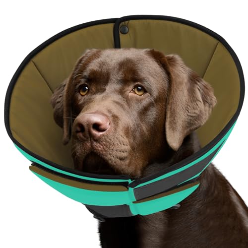 Queenmore Halskrause Hund Leckschutz, Weich Schutzkragen Hund, Genesungshalsband nach Operationen,Verstellbarer elisabethanischer Schutzkragen gegen Belecken und Beißen, für Hunde & Katzen (XL, Grün) Queenmore Halskrause Hund Leckschutz, Weich Schutzkragen Hund, Genesungshalsband nach Operationen,Verstellbarer elisabethanischer Schutzkragen gegen Belecken und Beißen, für Hunde & Katzen (XL, Grün) von Queenmore
