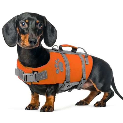Queenmore Hunde Schwimmweste, Reflektierende Schwimmweste Hund Mittel, Verstellbare Rettungsweste, Dackel Schwimmweste Französische Bulldogge, Life Jacket Hundeschwimmweste Kajak, Orange, M Queenmore Hunde Schwimmweste, Reflektierende Schwimmweste Hund Mittel, Verstellbare Rettungsweste, Dackel Schwimmweste Französische Bulldogge, Life Jacket Hundeschwimmweste Kajak, Orange, M von Queenmore