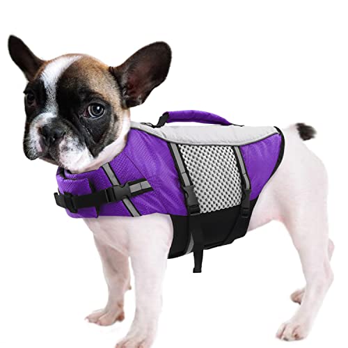 Queenmore Hunde Schwimmweste, Rettungsweste, Schwimmweste Hund kleine große, Rettungsweste für Kajak, Bootfahren, Schwimmweste französische Bulldogge, Dackel (lila, XS) von Queenmore