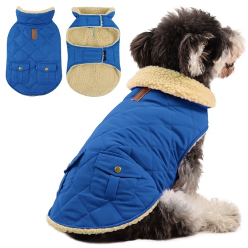 Queenmore Hundejacke Große Hunde Hundemantel Winter Warme Wintermantel Hund Wasserdicht Quilten Hundebekleidung Hundepullover Für Greyhound Dackel Bulldogge Beagle Labrador, Azurblau, L Queenmore Hundejacke Große Hunde Hundemantel Winter Warme Wintermantel Hund Wasserdicht Quilten Hundebekleidung Hundepullover Für Greyhound Dackel Bulldogge Beagle Labrador, Azurblau, L von Queenmore