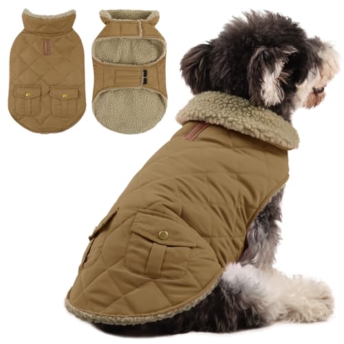 Queenmore Hundejacke Kleine Hunde Hundemantel Winter Warme Wintermantel Hund Wasserdicht Quilten Hundebekleidung Winter Hundepullover Für Dackel Chihuahua Pudel Bulldogge Beagle, Braun, XS Queenmore Hundejacke Kleine Hunde Hundemantel Winter Warme Wintermantel Hund Wasserdicht Quilten Hundebekleidung Winter Hundepullover Für Dackel Chihuahua Pudel Bulldogge Beagle, Braun, XS von Queenmore