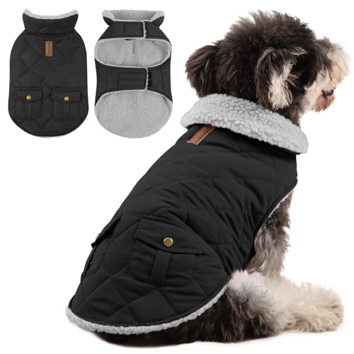 Queenmore Hundemantel Winter Große Hunde Warme Wintermantel Hund Fleece Hundejacke Wasserdicht Quilten Hundebekleidung Hundepullover Für Greyhound Dackel Bulldogge Beagle Labrador, Schwarz, L Queenmore Hundemantel Winter Große Hunde Warme Wintermantel Hund Fleece Hundejacke Wasserdicht Quilten Hundebekleidung Hundepullover Für Greyhound Dackel Bulldogge Beagle Labrador, Schwarz, L von Queenmore