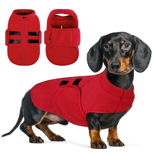 Queenmore Hundepullover Fleece Pullover Hundemantel Winter, Hundepullover Kleine Hunde,Hundeweste Wintermantel Hunddackel, Pullocver Chihuahua, Bulldog, Greyhound, Rot, M von Queenmore