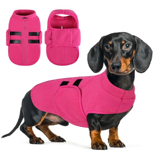 Queenmore Hundepullover Fleece Warm Hundemantel Winter, Hundejacke Hundeweste Kleine Hund, Wintermantel Hunddackel, Chihuahua, Bulldog, Greyhound, Rosa, L Queenmore Hundepullover Fleece Warm Hundemantel Winter, Hundejacke Hundeweste Kleine Hund, Wintermantel Hunddackel, Chihuahua, Bulldog, Greyhound, Rosa, L von Queenmore