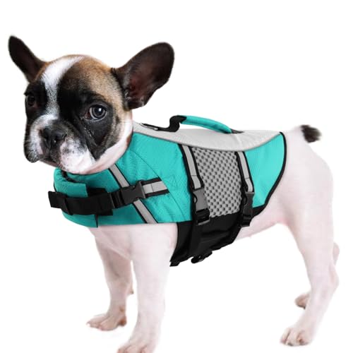Queenmore Hundeschwimmweste, Schwimmweste für kleine und mittelgroße Hunde, Neopren, leicht, reflektierend, für Katzen, Welpen, Kajakfahren, Lebensretter für Bulldogge, Dackel, Boston Terrier Queenmore Hundeschwimmweste, Schwimmweste für kleine und mittelgroße Hunde, Neopren, leicht, reflektierend, für Katzen, Welpen, Kajakfahren, Lebensretter für Bulldogge, Dackel, Boston Terrier von Queenmore